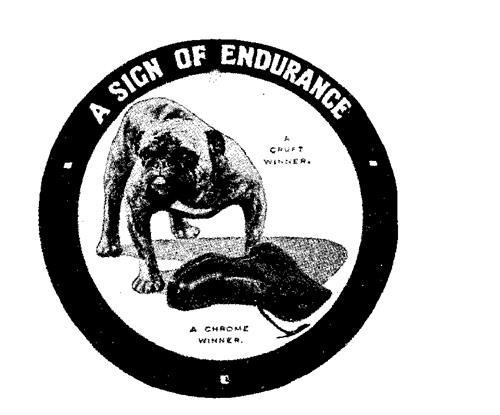 A SIGN OF ENDURANCE trademark