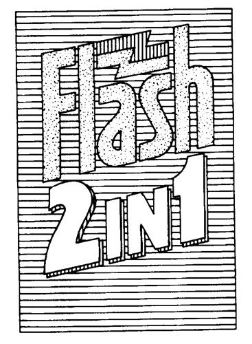 Flash 2in 1 trademark