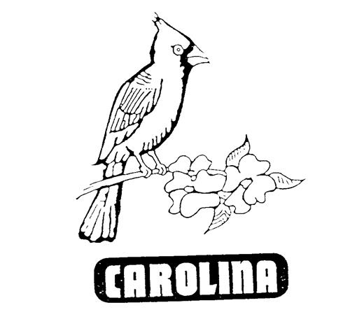 CAROLINA trademark