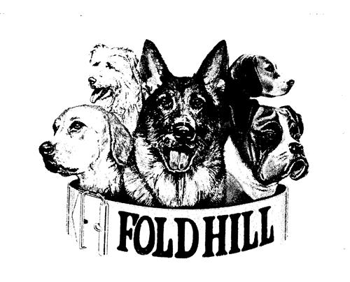 FOLDHILL trademark