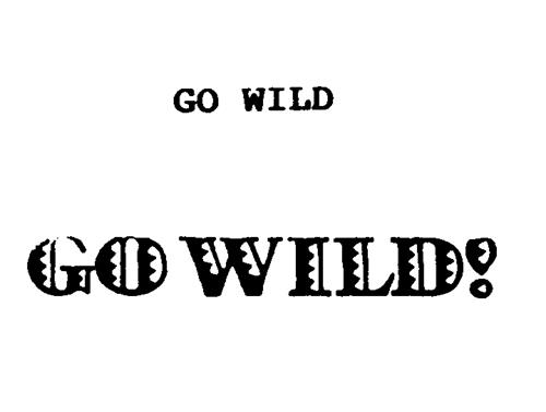 GO WILD trademark