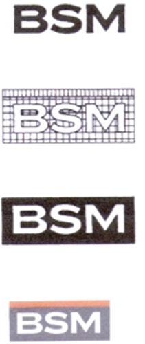 BSM trademark