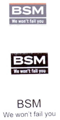 BSM We won't fail you trademark