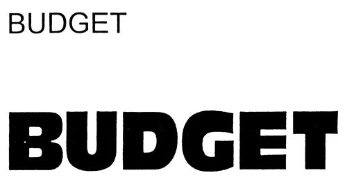 BUDGET trademark