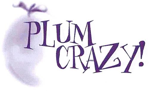 PLUM CRAZY! trademark