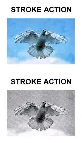 STROKE ACTION trademark