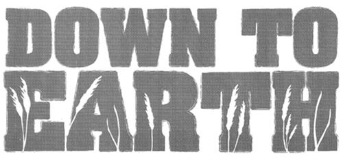 DOWN TO EARTH trademark