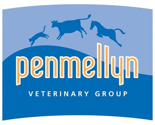 penmellyn VETERINARY GROUP trademark