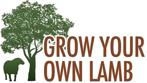 GROW YOUR OWN LAMB trademark