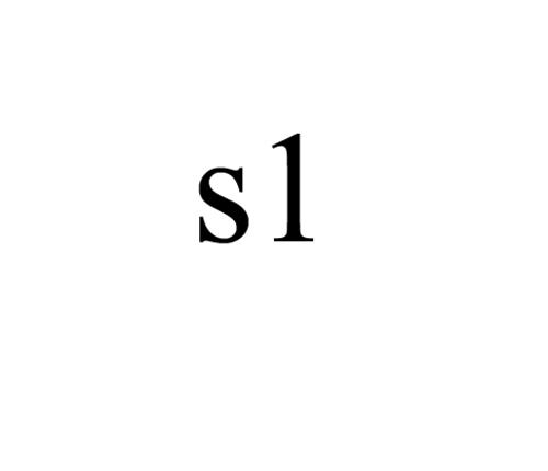 s1 trademark