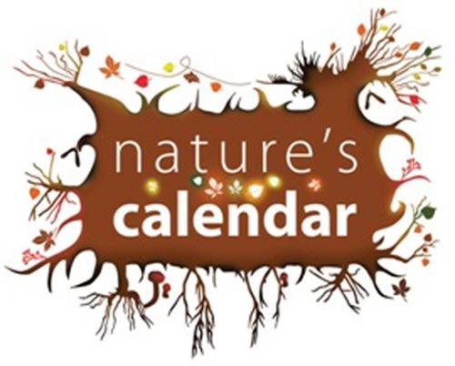 nature's calendar trademark