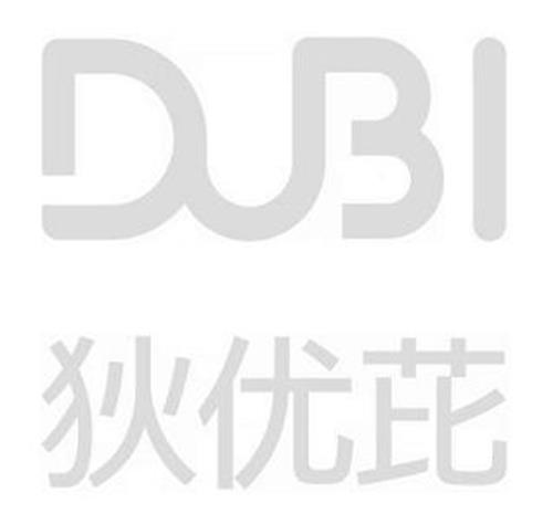 DUBI trademark