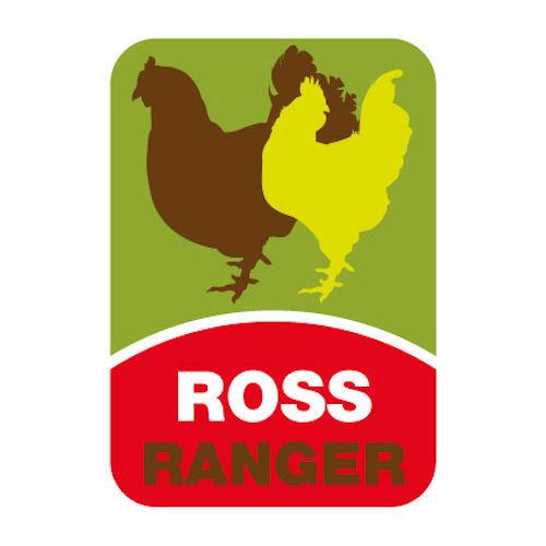 ROSS RANGER trademark