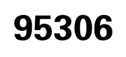 95306 trademark