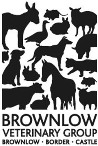 BROWNLOW VETERINARY GROUP BROWNLOW BORDER CASTLE trademark