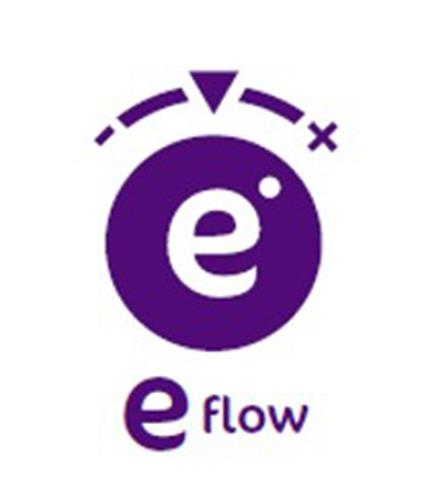 e eFlow trademark