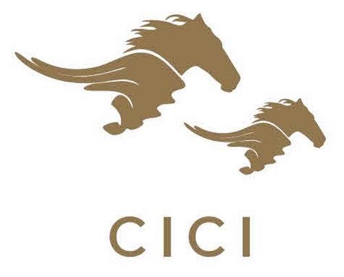 CICI trademark