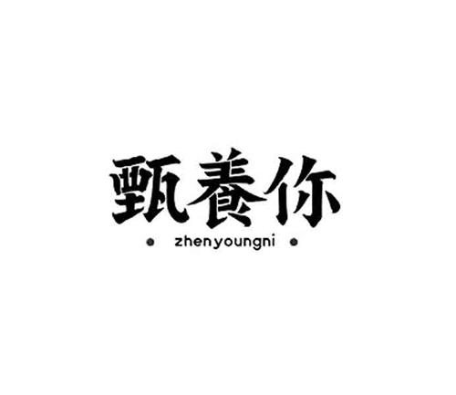 zhenyoungni trademark