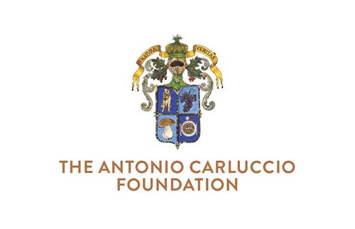 THE ANTONIO CARLUCCIO FOUNDATION IN NATVRA VERITAS trademark