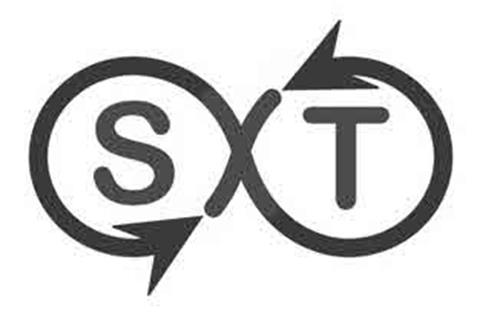 SXT trademark