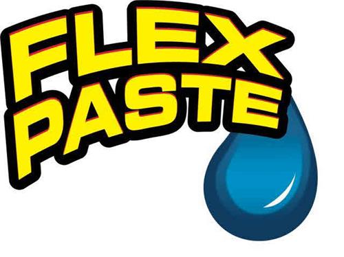 FLEX PASTE trademark