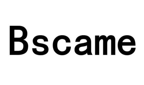 BSCAME trademark