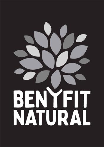 BENYFIT NATURAL trademark