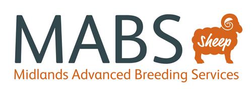 MABS Midlands Advanced Breeding Services sheep trademark