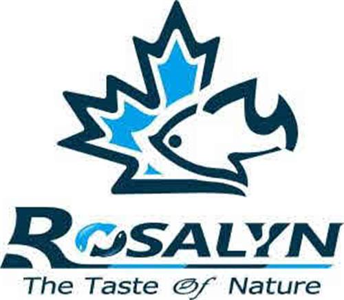 ROSALYN The Taste Of Nature trademark