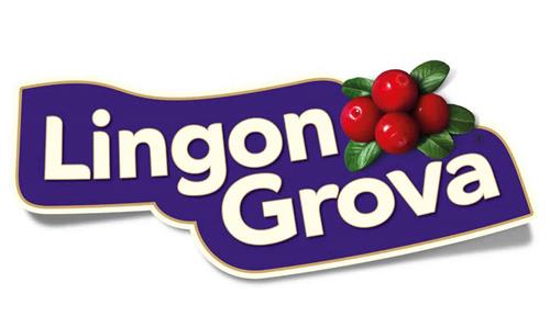 LINGON GROVA trademark