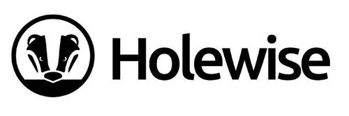 HOLEWISE trademark