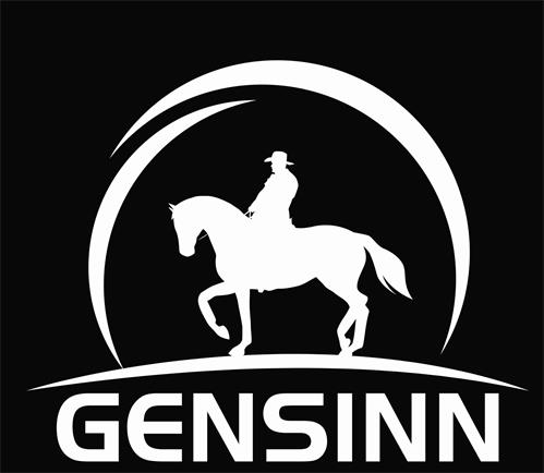 GENSINN trademark