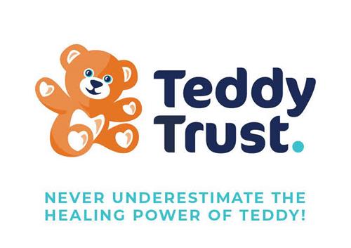 TEDDY TRUST NEVER UNDERESTIMATE THE HEALING POWER OF TEDDY! trademark