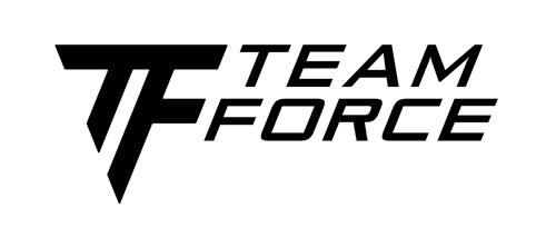 TF TEAM FORCE trademark