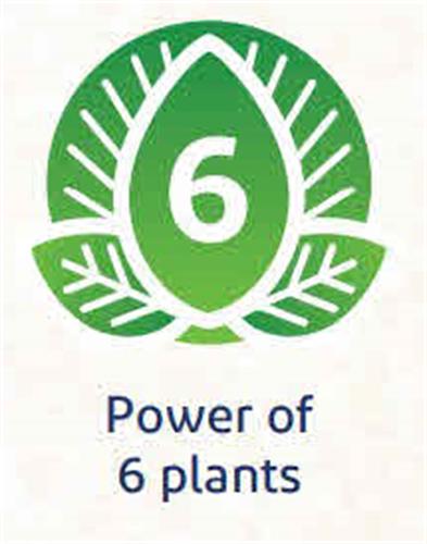 6 POWER OF 6 PLANTS trademark