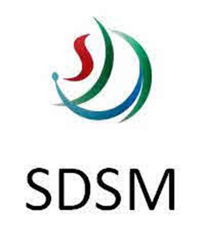 SDSM trademark