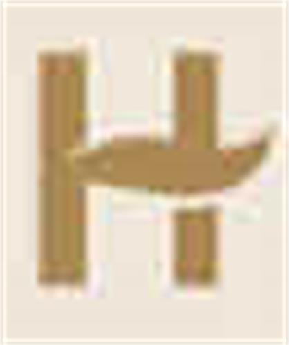 H trademark