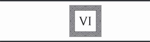 VI trademark