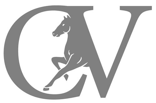 C V trademark