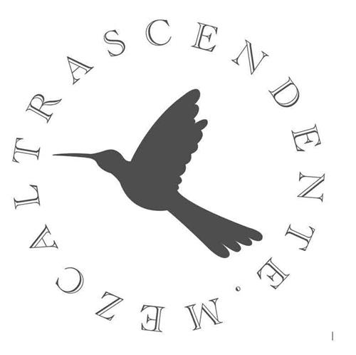 MEZCALTRASCENDENTE trademark