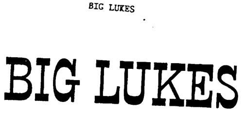 BIG LUKES trademark