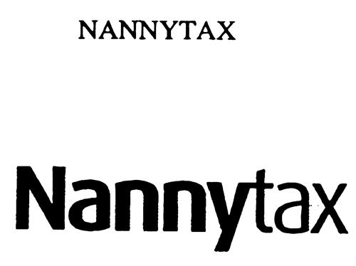 NANNYTAX trademark