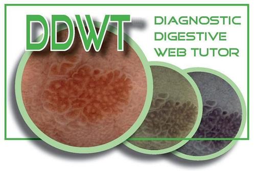 DDWT DIAGNOSTIC DIGESTIVE WEB TUTOR trademark