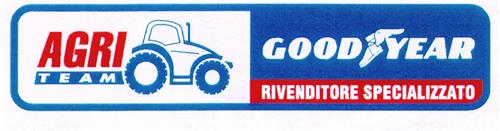 AGRI TEAM GOODYEAR RIVENDITORE SPECIALIZZATO trademark