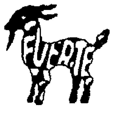 FUERTE trademark