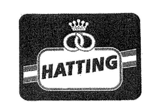 HATTING trademark