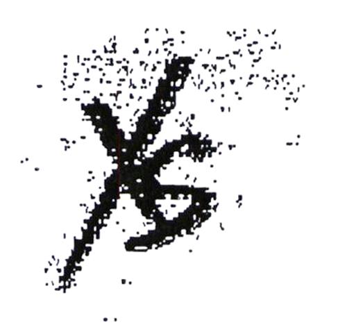 XS trademark