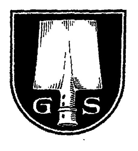 GS trademark