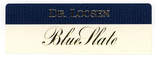 DR. LOOSEN BlueSlate trademark