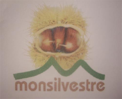 MONSILVESTRE trademark